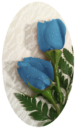 DNSBLUF 051 2 Roses Blue